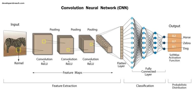 Convolutional Neural Networks (CNNs)