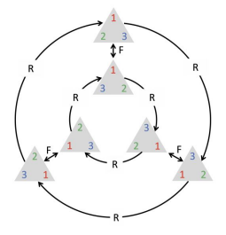 Rotation is a function that respects Symmetry in the equilateral triangles domain.